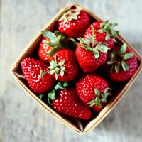 稳稳的老哥不赌球